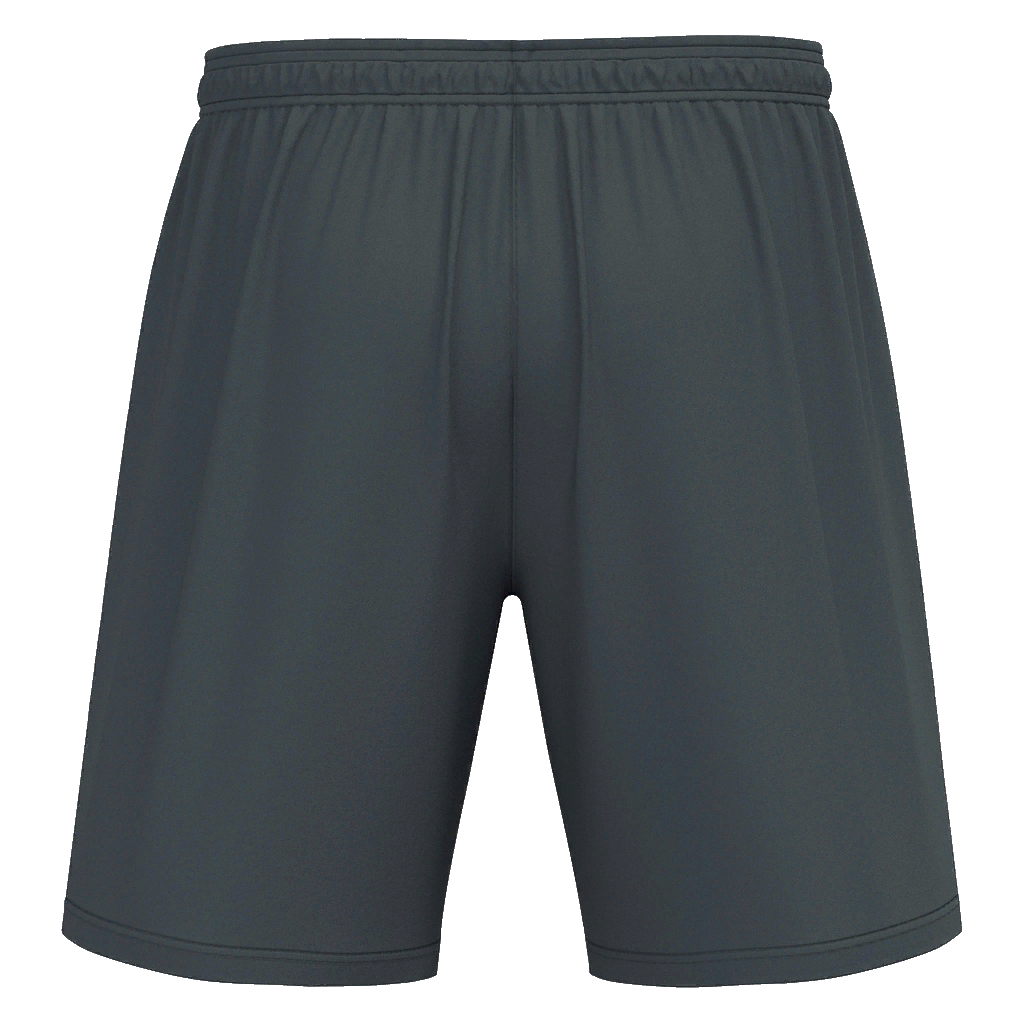 Albert Foundry SNR Macron Galax Shorts Grey
