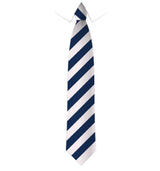 Wide Stripe Tie