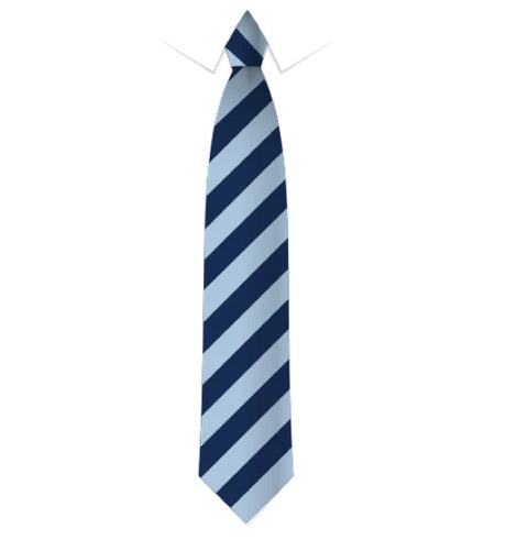 Wide Stripe Tie