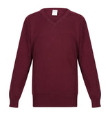 Boys Performa 100% Cotton V-Neck Pullover
