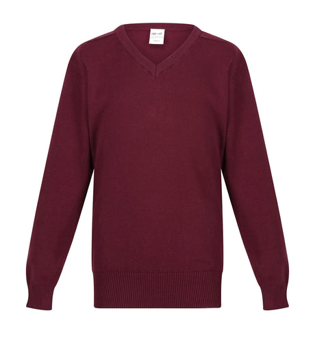 Boys Performa 100% Cotton V-Neck Pullover