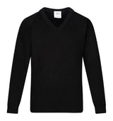 Courtelle V-Neck Pullover