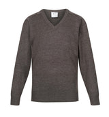 Performa 25 V-Neck Pullover