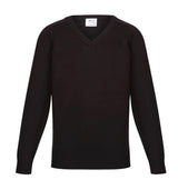 Performa 25 V-Neck Pullover