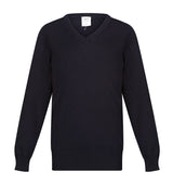 Boys Performa 100% Cotton V-Neck Pullover
