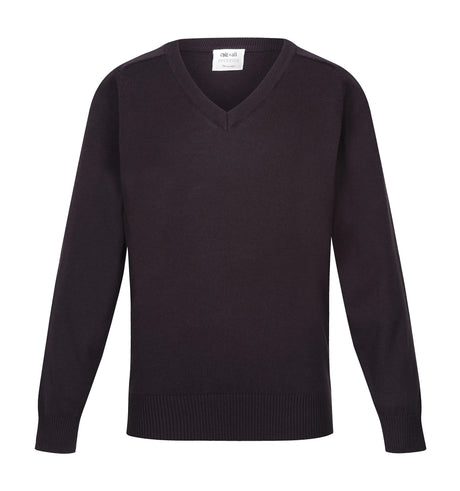 Performa 25 V-Neck Pullover