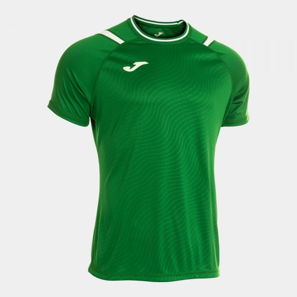Joma Dinamo Football Shirt - Green White
