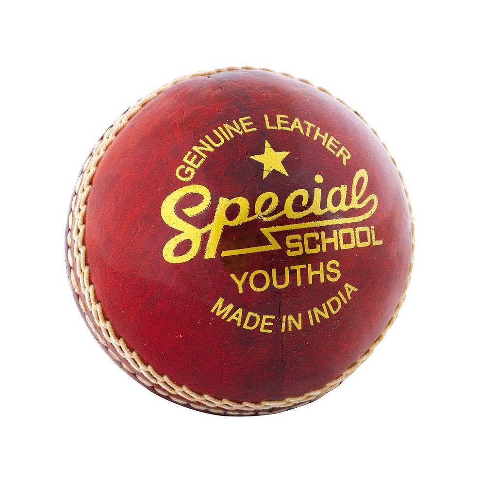 Readers Special School Cricket Ball - 0 - KitRoom