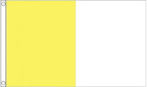 Saffron/White Irish County Flag - KitRoom